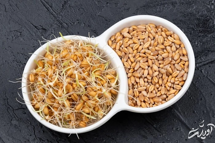 خواص جوانه گندم برای تقویت مو  فواید جوانه گندم برای مو